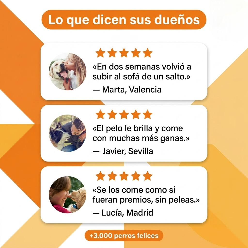 Multivitaminico 8 en 1 - Royal Sur