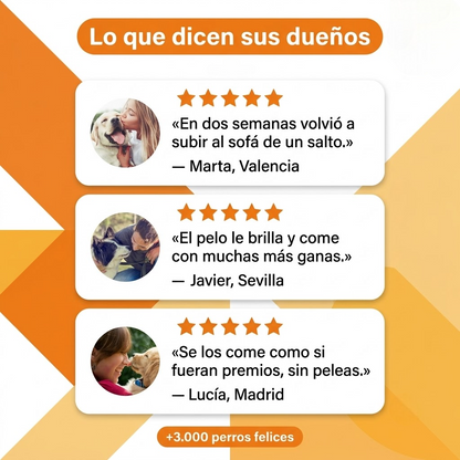 Multivitaminico 8 en 1  - Royal Sur